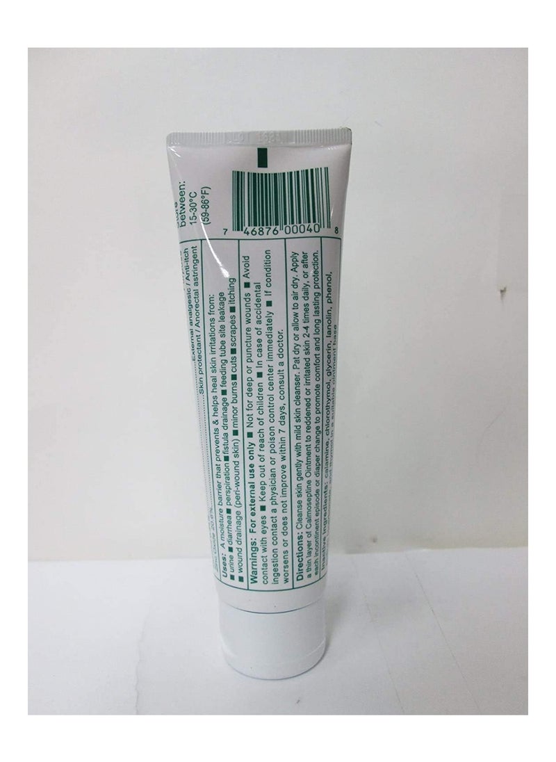 Calmoseptine - Ointment By Calmoseptine, 4 Ounce (Pack Of 2) - Image 1