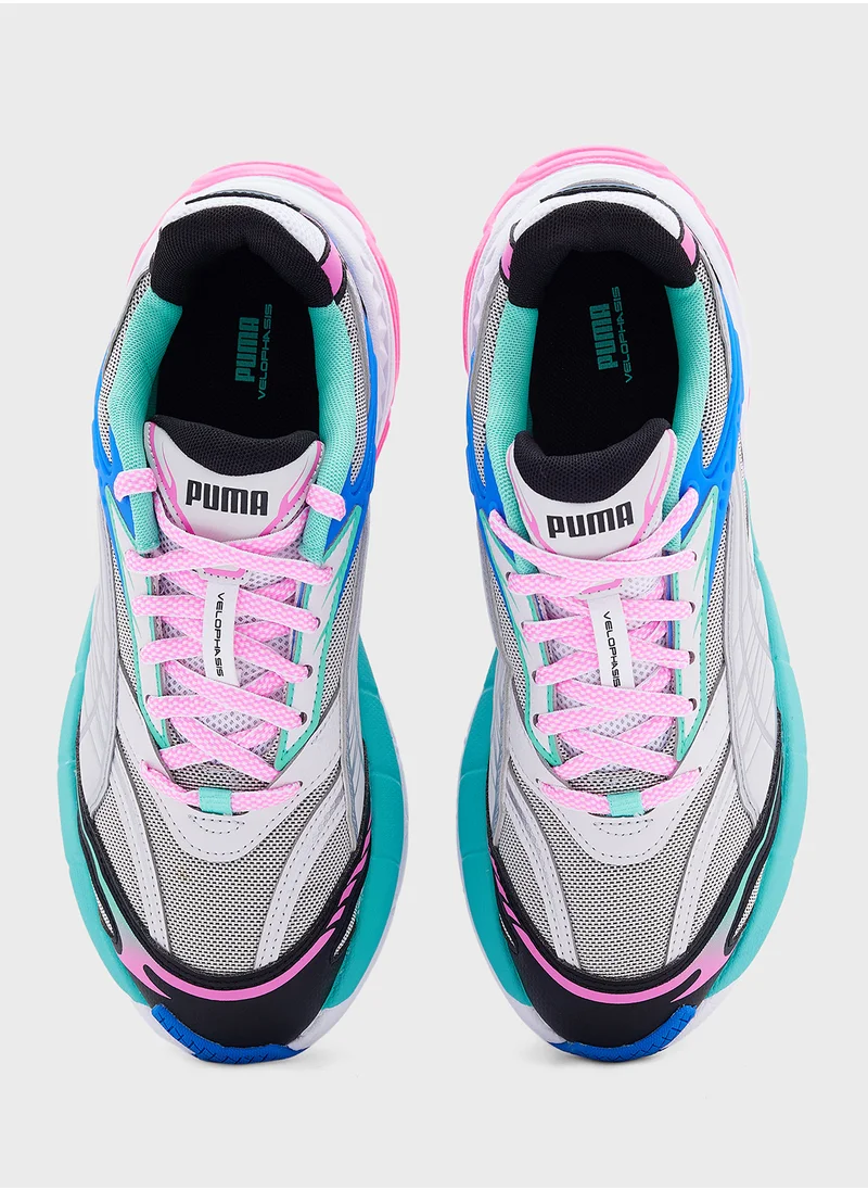 PUMA Velophasis Born In The 2000S