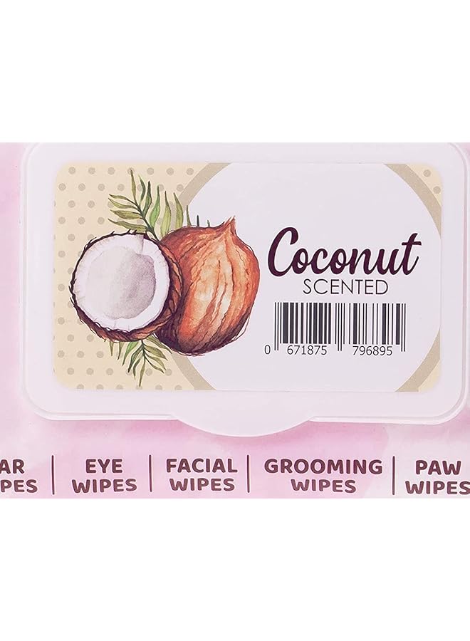 Kit Cat Wet Wipes 5 In 1 Coconut Scented 80 Pcs - Image 2