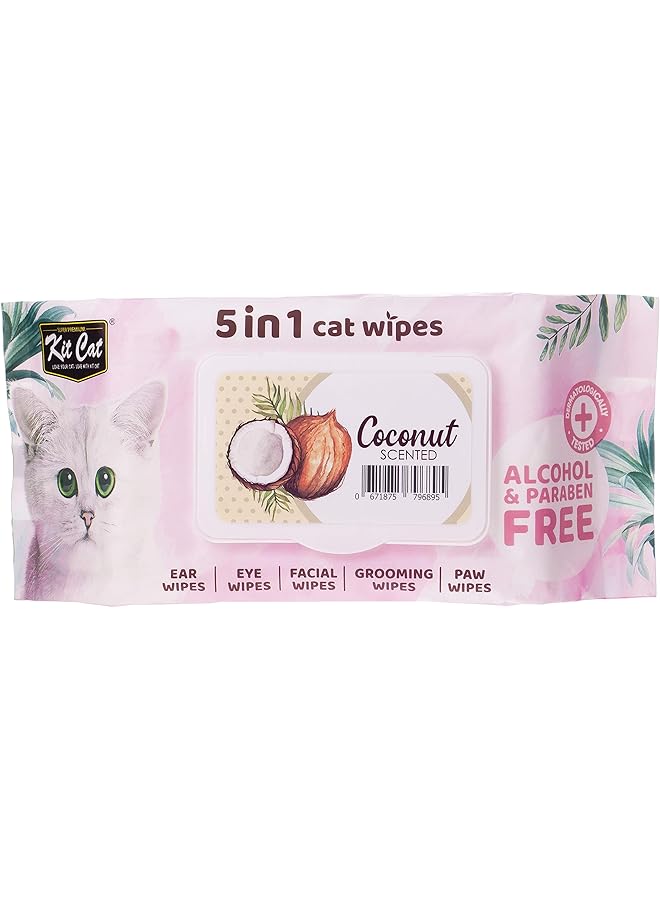 Kit Cat Wet Wipes 5 In 1 Coconut Scented 80 Pcs - Image 1