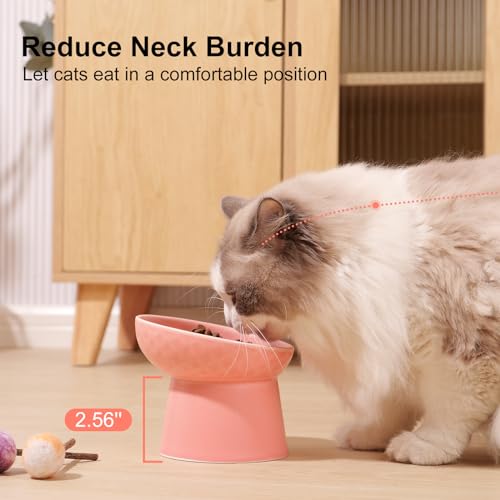YauYik Small Raised Cat Bowls Ceramic Tilted Elevated Food or Water Bowls Stress Free Backflow Prevention Dishwasher Microwave Safe Lead Cadmium Free Pink - Image 3