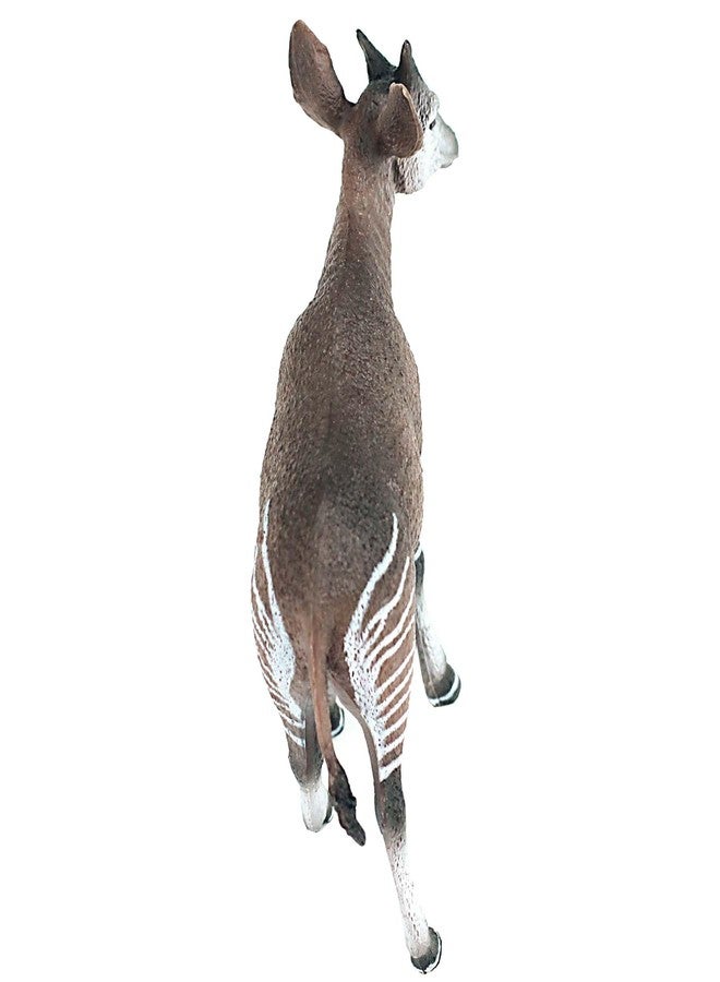 FUNSHOWCASE African Jungle Animals Male Okapi Toy Figure Realistic Plastic Figurine Height 3.5-inch - Image 4