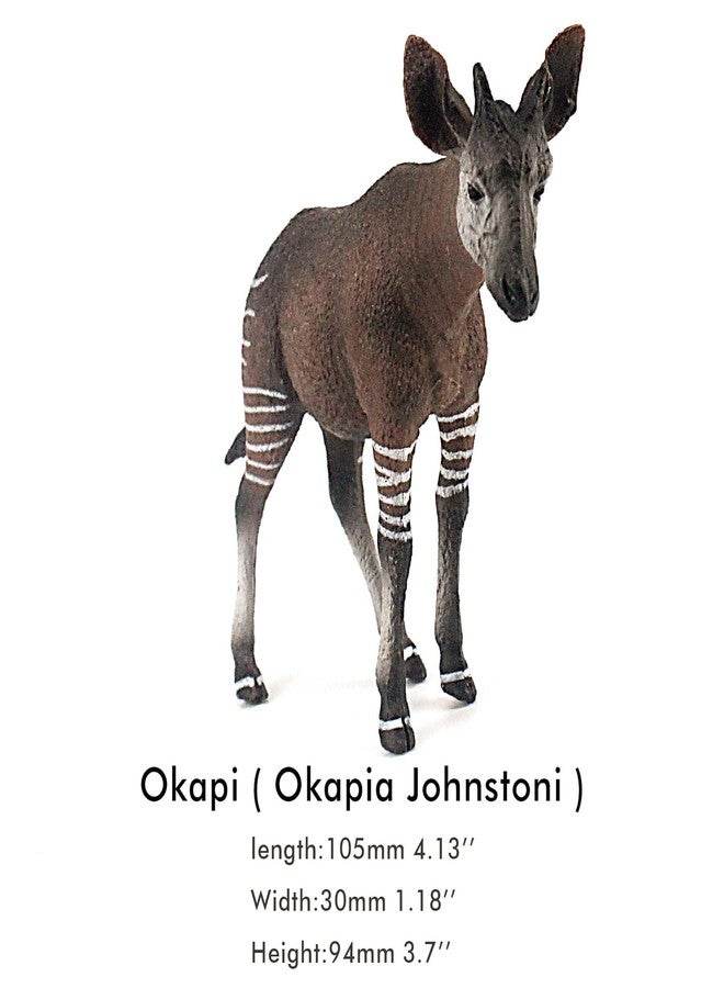 FUNSHOWCASE African Jungle Animals Male Okapi Toy Figure Realistic Plastic Figurine Height 3.5-inch - Image 2