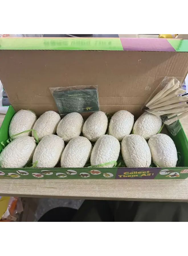 Dinosaur Egg Digging Toy Set 12 Eggs with Dinosaur Figures Educational Science Kit for Kids - Image 1