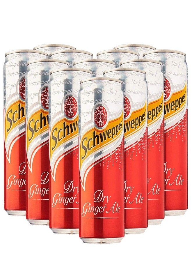 Schweppes Dry Ginger Ale Can- 12 Pack, 12 x 320 ml - Image 1