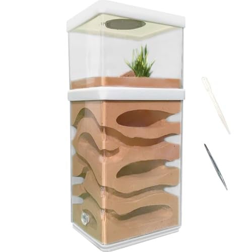 La La Pet Ant Farm Box Detachable Breeding Boxes Plaster Ant Home for Students Study Ant Behavior Observation Educational Formicarium Ant Nest Farm - Image 1