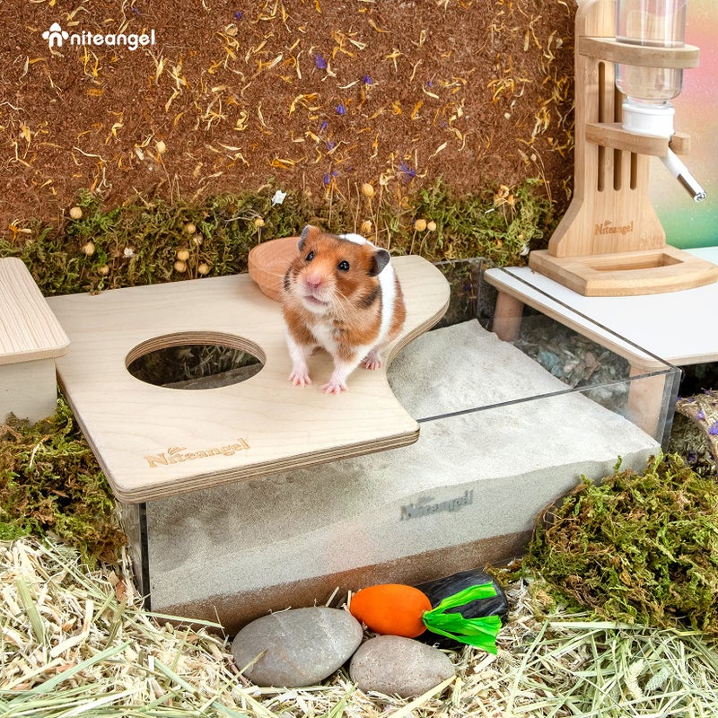 Niteangel Small Animal Sand-Bath Box: - Acrylic Critter's Sand Bath Shower Room & Digging Sand Container for Hamsters Mice Lemming Gerbils or Other Small Pets (Rectangle, Birch-Wood) - Image 4