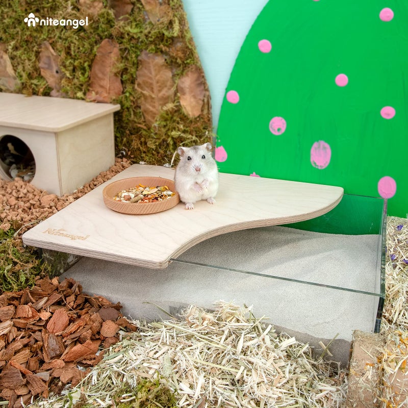 Niteangel Small Animal Sand-Bath Box: - Acrylic Critter's Sand Bath Shower Room & Digging Sand Container for Hamsters Mice Lemming Gerbils or Other Small Pets (Rectangle, Birch-Wood) - Image 2