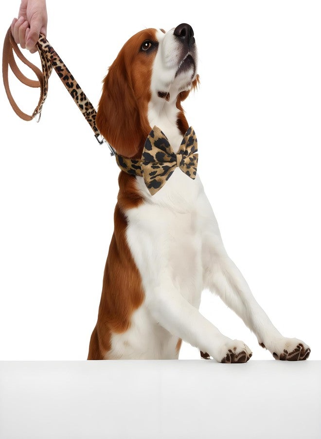 YOY Soft Comfortable Adjustable Leopard Print Pet Collar with Bowtie, Cute Cat Collar and Leash Set for Small Dogs Cats Kitten, Puppy Kitty Grooming Doggy Accessories, Length 8"-13" - Image 5