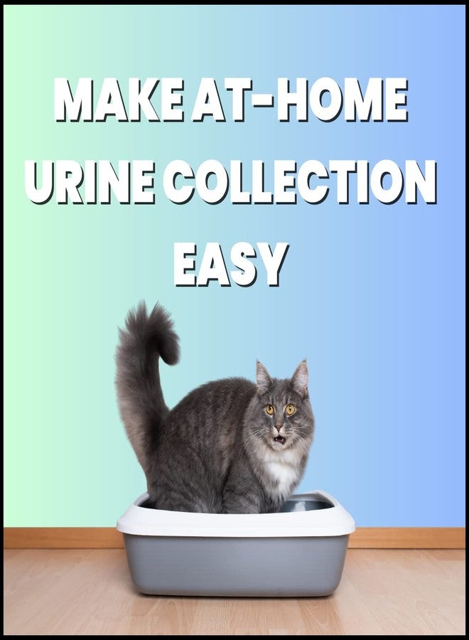 Creative Science Nosorb Non-Absorbent Cat Litter | 6 oz | Easily Collect Urine Samples from Cats - Image 3