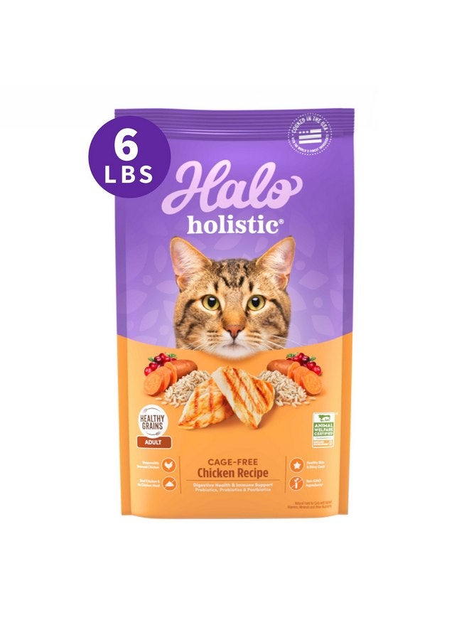 Halo Holistic Cat Food Dry, Cage-free Chicken Recipe, Complete Digestive Health, Dry Cat Food Bag, Adult Formula, 6-lb Bag - Image 1