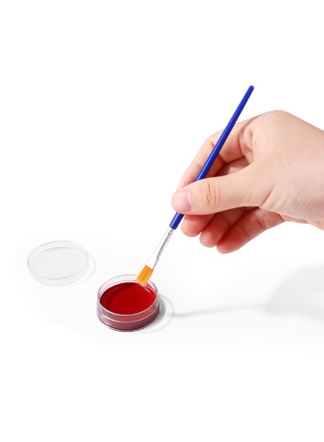 ميدو مجموعة ألوان وجه – 12 لون كلاسيكي مع الجليتر وفرشاة - Image 2