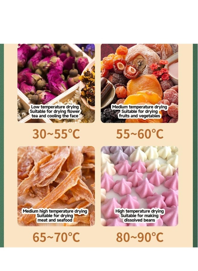 Food Dehydrator Machine,6 Stainless Steel Trays,Dehydrators for Food and Jerky,Herb, Meat, Beef, Fruit,Dehydrator Machine with Digital Timer and Temperature Control  - Image 4