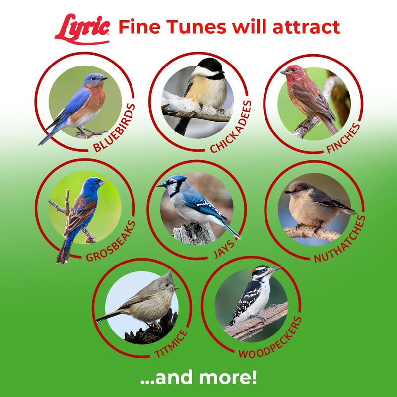 Lyric Fine Tunes Wild Bird Seed - No Waste Bird Food Mix - Attracts Colorful Wild Birds - Perfect for Your Backyard Feeders - 10 lb. (pack of 2 - 5 lb bags) - Image 4