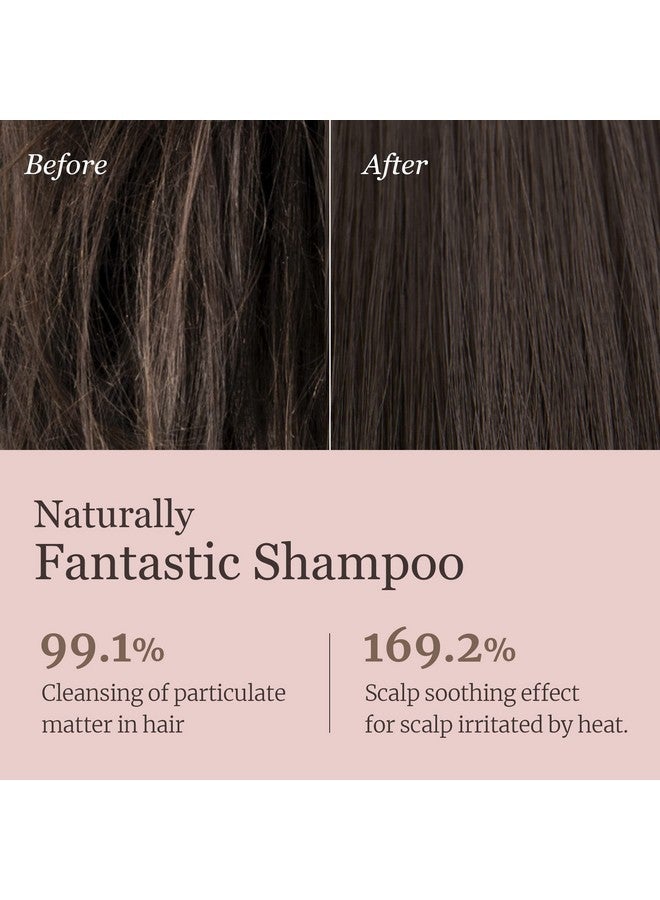 دكتور بيو شامبو دكتور بيو راب-أب، شامبو مرطب وملطف للشعر مع البروبيوتيك والسيكا، للعناية بالشعر وفروة الرأس الحساسة، شعر ناعم ولامع، نباتي، خالٍ من السيليكون والبارابين، للعناية بالشعر الكوري - Image 3