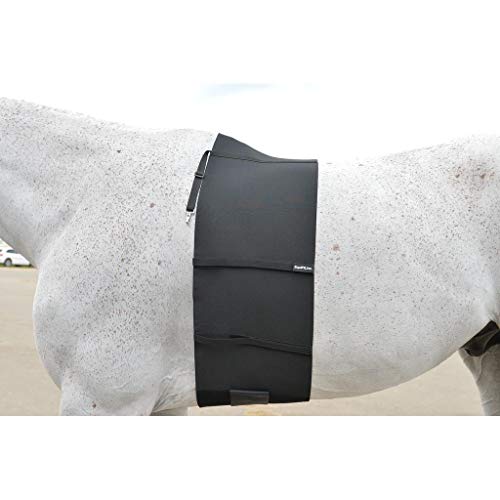 EquiFit BellyBand - Image 4