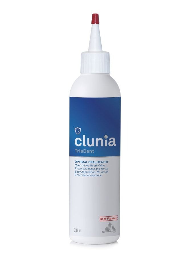 Clunia Tris Dent - pzsku/Z94F16AB65C32A8FC1737Z/45/_/1732170580/b4d85213-ddd5-410f-80b0-cc280e95e2ad