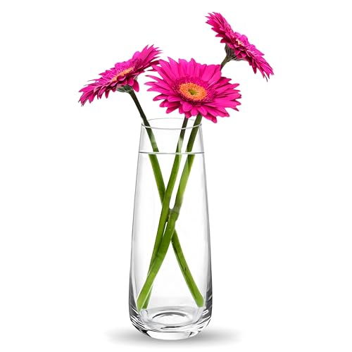 Clovefry Decorative Vases for Flowers Plants, Home Décor Office Living Table Decoration,Vases for Home Decor, Luster Glass Vase,Modern Glass Vase - (Approx 7 Inches Height) (Clear) - Image 1