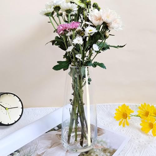 Clovefry Decorative Vases for Flowers Plants, Home Décor Office Living Table Decoration,Vases for Home Decor, Luster Glass Vase,Modern Glass Vase - (Approx 7 Inches Height) (Clear) - Image 2