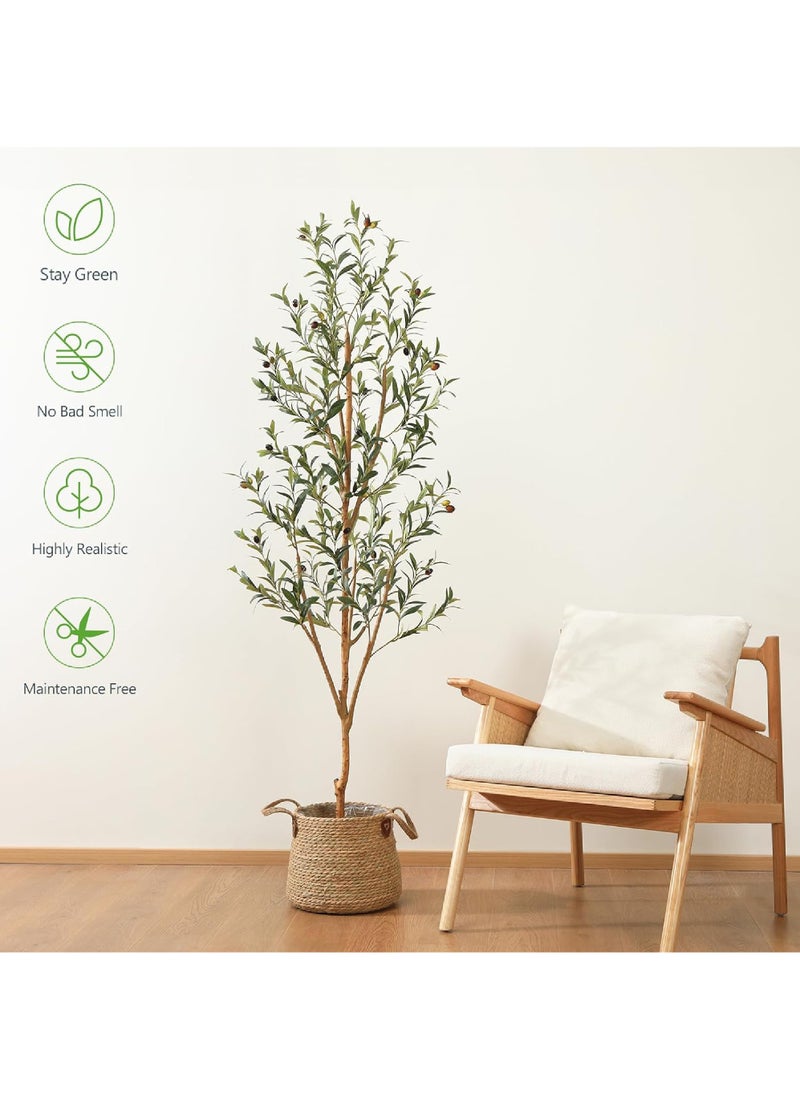 Rock Pow Artificial Olive Tree 6FT（180CM） Tall Faux Silk Plant for Home Office Decor Indoor Fake Potted Tree with Wood Branches and Fruits  - Image 2