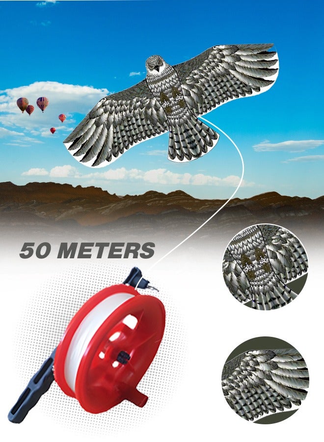 GROIC Eagle Kite for Kids and Adults Single Line String Colorful Huge Easy to Fly Outdoor Games 63 Inch - Image 3