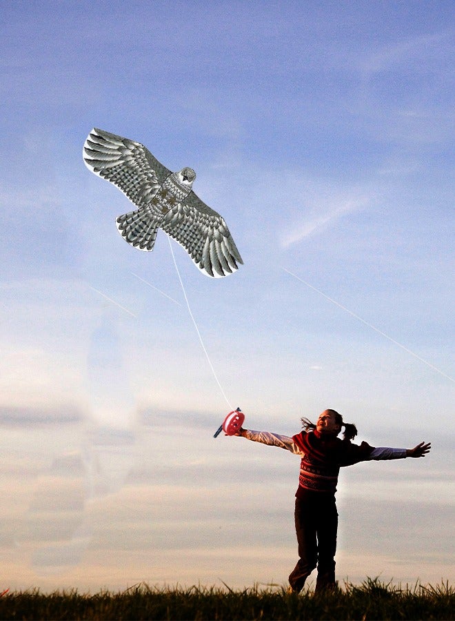 GROIC Eagle Kite for Kids and Adults Single Line String Colorful Huge Easy to Fly Outdoor Games 63 Inch - Image 5