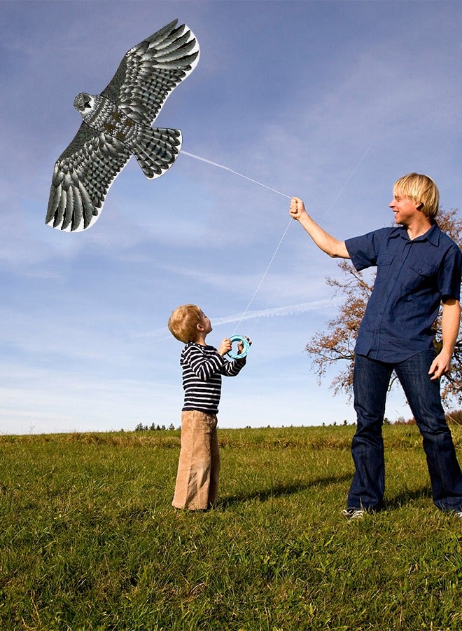 GROIC Eagle Kite for Kids and Adults Single Line String Colorful Huge Easy to Fly Outdoor Games 63 Inch - Image 4