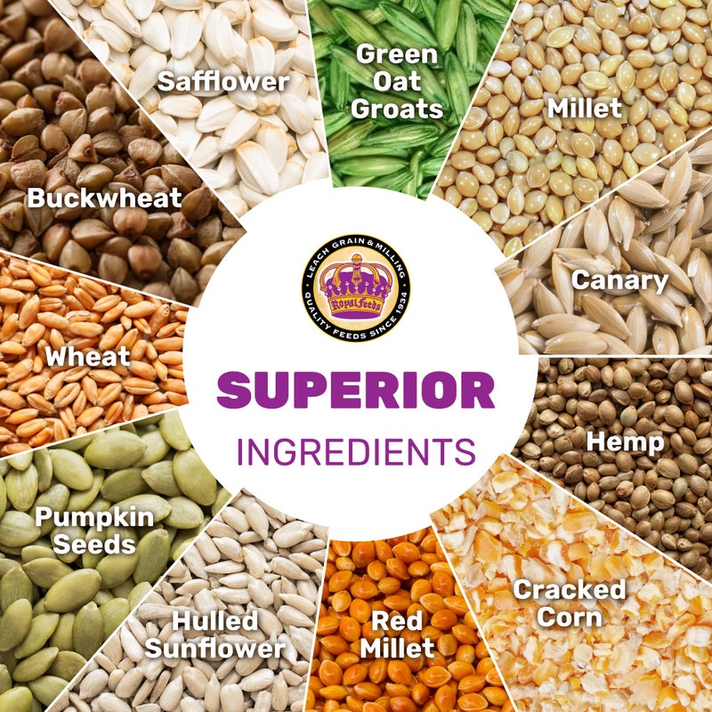 Small Hookbill Plus 5 Lbs, Bird Food for Small Hookbill, Premium Bird Seeds, Supports Growth Energy and Digestive Health, Nutrient-Rich Parrot Birdseeds with Vitamins & Minerals, Healthy Balanced Diet - Image 4