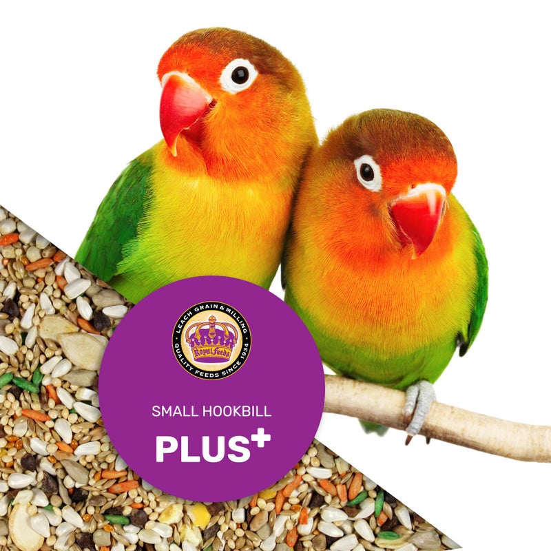 Small Hookbill Plus 5 Lbs, Bird Food for Small Hookbill, Premium Bird Seeds, Supports Growth Energy and Digestive Health, Nutrient-Rich Parrot Birdseeds with Vitamins & Minerals, Healthy Balanced Diet - Image 3