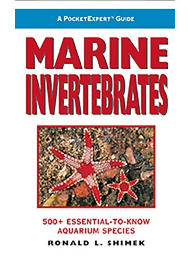 Marine Invertebrates - Image 1