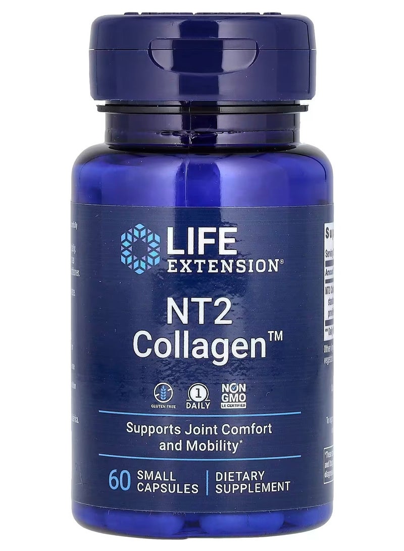Life Extension, NT2 Collagen, 60 Small Capsules (40 mg per Capsule) - Image 1