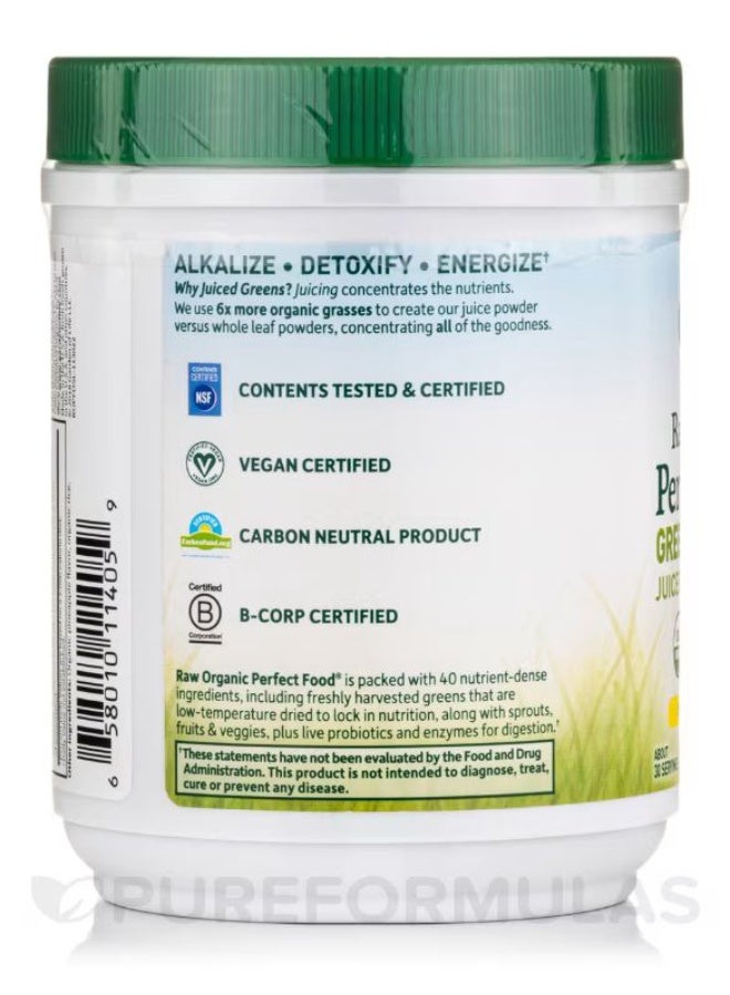 جاردن أوف لايف مسحوق عصير الخضار الخام العضوي المثالي من الأطعمة الخضراء الفائقة (أصلي - بدون ستيفيا) 30 حصة - (207 جم) - Image 2