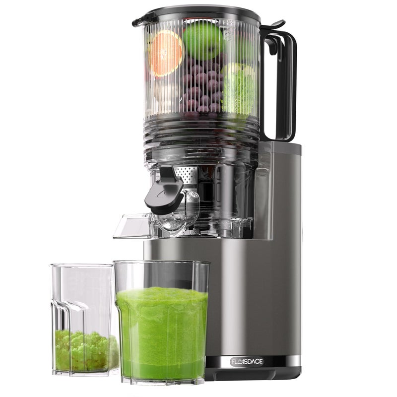 Floisdace J8 Cold Press Juicer, 6.5" Extra Wide Feed Chute Juicer Machines, 350W Slow Juicer Machines with High Juice Yield for Whole Vegetables & Fruits, BPA Free (Titanium Gray) - Image 1