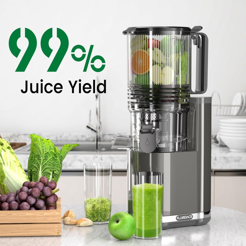 Floisdace J8 Cold Press Juicer, 6.5" Extra Wide Feed Chute Juicer Machines, 350W Slow Juicer Machines with High Juice Yield for Whole Vegetables & Fruits, BPA Free (Titanium Gray) - Image 3
