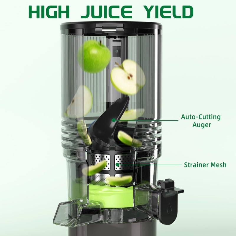 Floisdace J8 Cold Press Juicer, 6.5" Extra Wide Feed Chute Juicer Machines, 350W Slow Juicer Machines with High Juice Yield for Whole Vegetables & Fruits, BPA Free (Titanium Gray) - Image 2