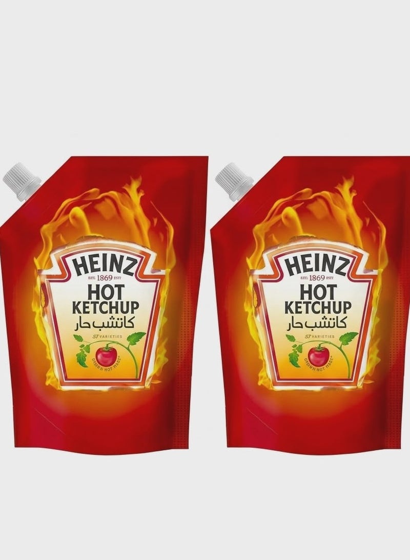 Heinz Hot Tomato Ketchup - 285g - Pack of 2 - Image 1
