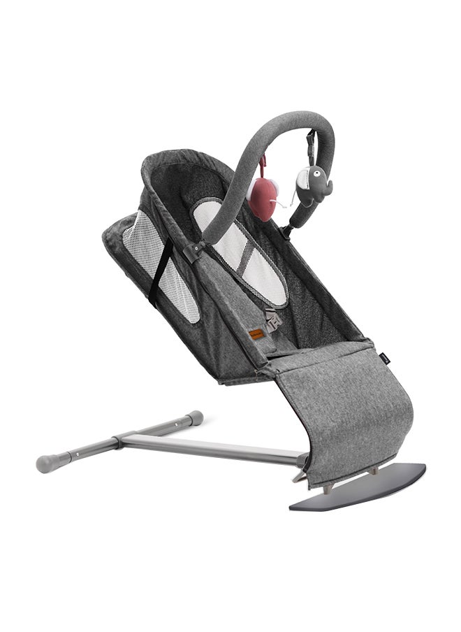 TEKNUM Baby Bouncer with Grab Toys - Dark Grey - pzsku/Z94FA89F61E93327C2FE8Z/45/_/1720708137/85e25038-1e5d-46b1-a8c8-ed905fde0ad8