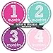 Months In Motion Baby Monthly Milestone Stickers Newborn Month for Baby Girl Infant Gift - Image 3