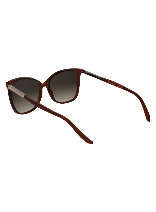 كالفن كلاين FULL RIM INJECTED CALVIN KLEIN SUN CK25504S