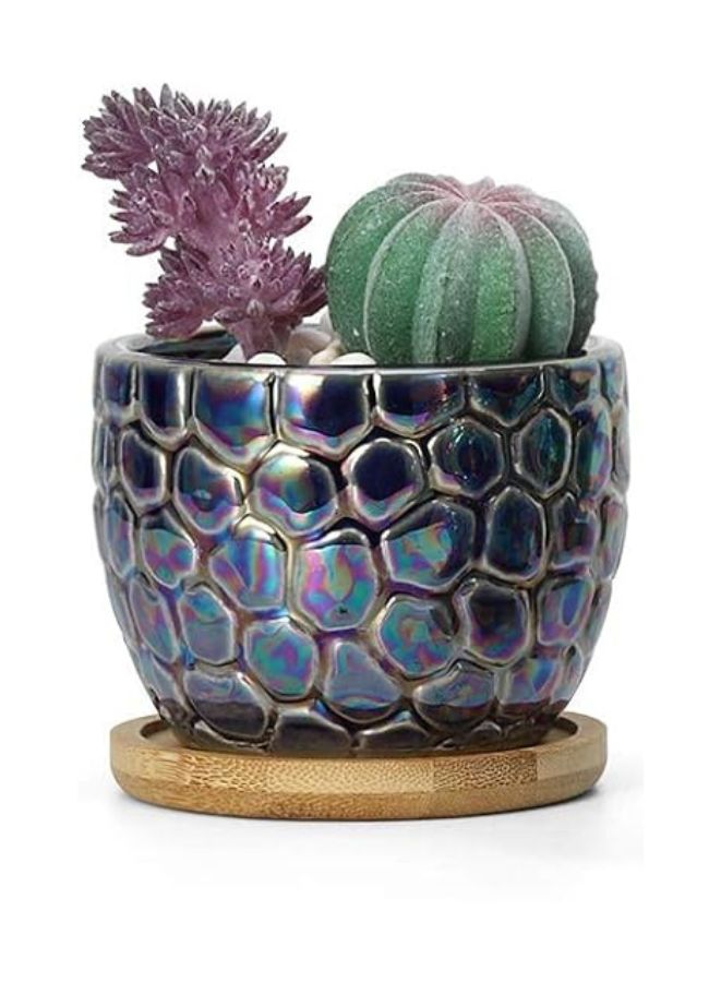 Generic Mini Textured Indoor Plant Pot with Drainage Hole and Tray – Small Flower Planter for Home & Office Décor  - Image 1
