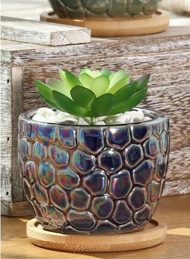 Generic Mini Textured Indoor Plant Pot with Drainage Hole and Tray – Small Flower Planter for Home & Office Décor  - Image 2