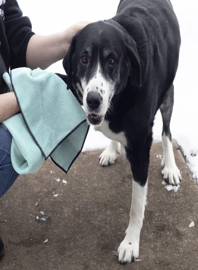 Ritz Premium Embroidered Microfiber Pet Towel (3-Pack), 18" x 28", Highly Absorbent, Fast-Drying, Long-Lasting, Super Soft 80% Polyester and 20% Polyamide Pet Cloth, Spa Blue - Image 5