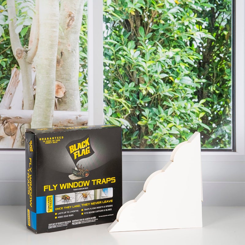 Black Flag, Fly Window Trap, 4-count, Clear - Image 5