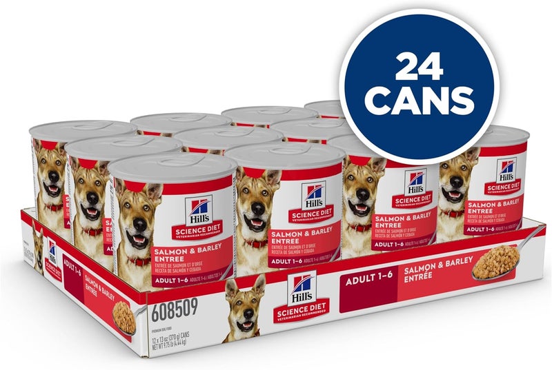 Hills هيلز ساينس دايت للبالغين 16 طعام رطب للكلاب بسلمون وشعير 13 أونصة علبة مجموعة من 12 - Image 3