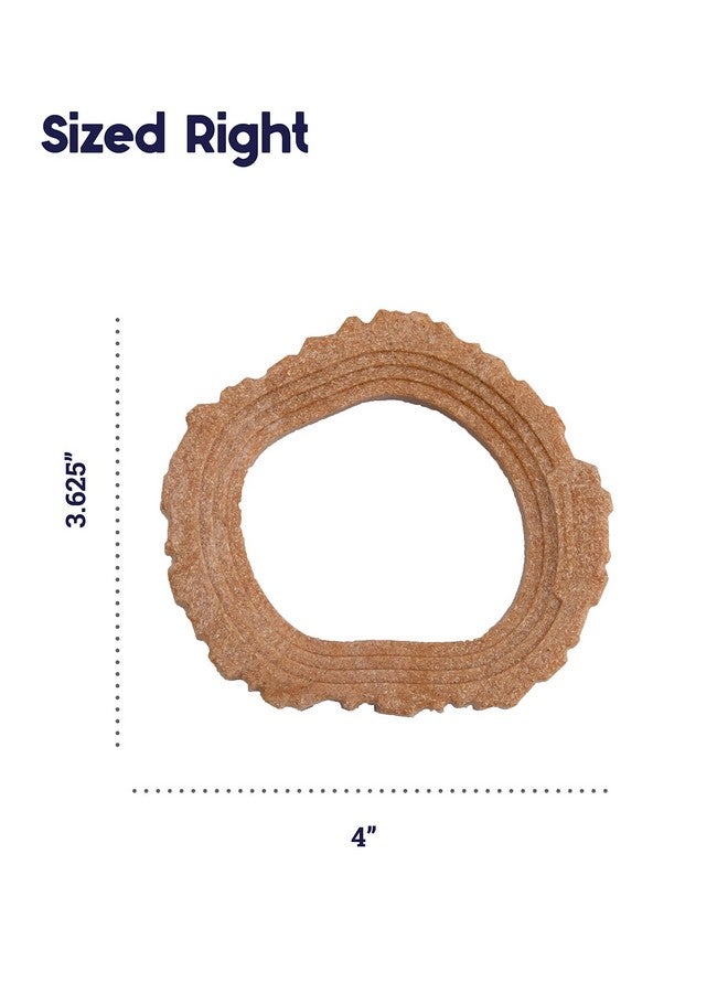 بيتستاجيز لعبة مضغ بديلة للكلاب من نيوهايد، حجم كبير - Image 5