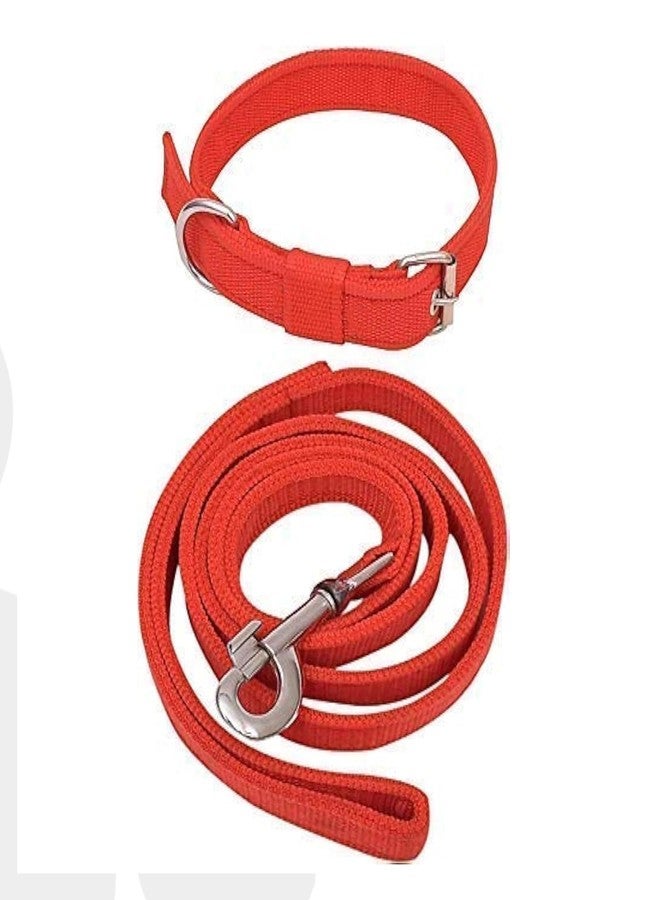 Tailworld Dog Harness | Soft Nylon Harness | Adjustable and Highly Durable Material| Medium and Large All Breeds for Dogs| Easy Control Dog Chest Belt| No More Pulling Or Choking - Image 1