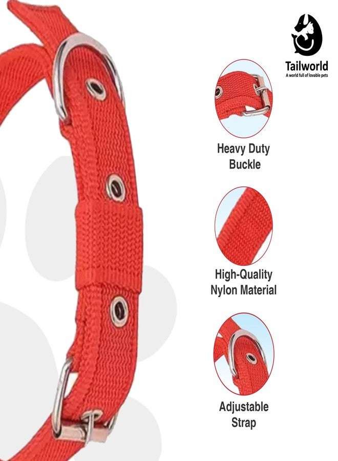 Tailworld Dog Harness | Soft Nylon Harness | Adjustable and Highly Durable Material| Medium and Large All Breeds for Dogs| Easy Control Dog Chest Belt| No More Pulling Or Choking - Image 2