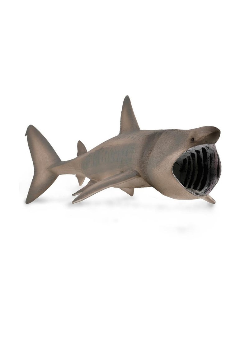 Collecta - Basking Shark - 88914