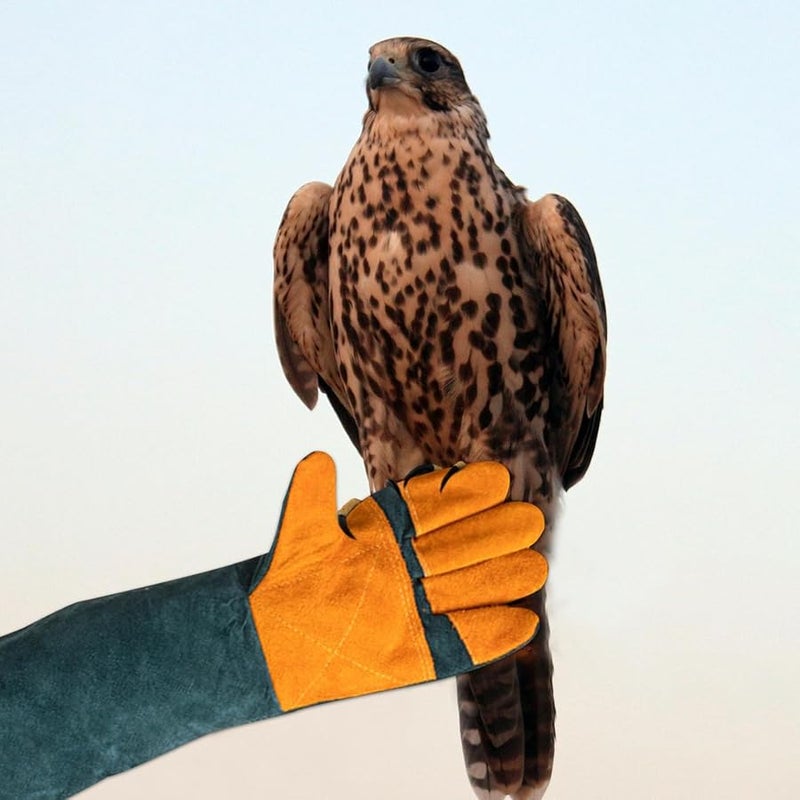 Heavy Duty Dog Bite Protection Gloves Puncture Resistant Training Gear Color C - Image 5