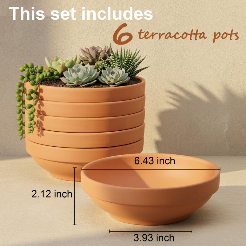 Laerjin Laergin Terra Cotta Pots, 6.43 Inch Shallow Terracotta Clay Pots with Drain Hole Terra Cotta Plant Pot with Drainage Hole for Indoor/Outdoor Plants, 6 Pack - Image 2